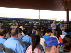 ExpoGenética 2019: Produção sustentável e visão frigorífica marcam palestras técnicas de hoje (20)