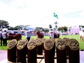 ExpoZebu 2019: edição especial da feira chega ao fim com excelentes resultados