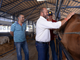 ExpoGenética: vários negócios já são fechados na Feira do Pró-Genética