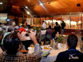 ExpoGenética registra mais um remate com liquidez           