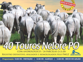 ?11º Leilão Fazenda Nativa? será realizado no próximo sábado (21)