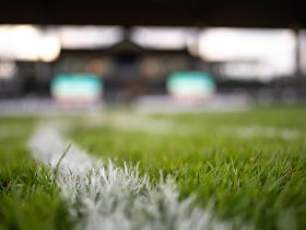 Julgamentos da 90ª ExpoZebu começam neste domingo (27)