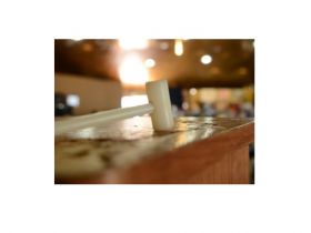 Leilões da Expogenética já movimentaram mais de R$5 milhões