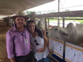 Estimulando o futuro do neto, diretor da Coopavel compra touro em Feira do Pró-Genética