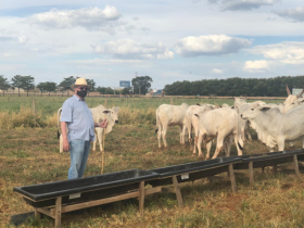 ABCZ começa a receber primeiros participantes do programa ?Zebu: Carne de Qualidade?