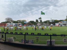 Expoinel 2025 acontece de 13 a 19 de outubro, em Uberaba (MG)