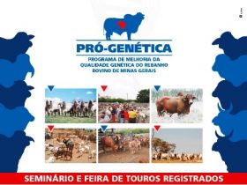 Pró-Genética tem agenda cheia nas próximas semanas