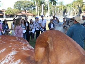 Curso de Julgamento atrai 117 para Uberaba