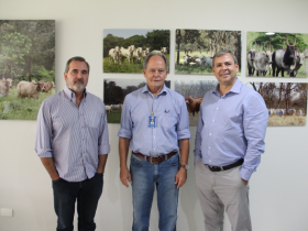 ASBIA homenageará ABCZ com Tributo ASBIA 2019