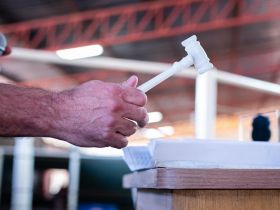 Remates da ExpoGenética já movimentaram mais de R$ 26,5 milhões