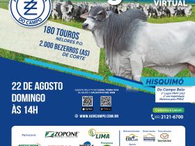 5º Leilão Virtual Agropecuária do Campo ofertará 168 exemplares de Nelore