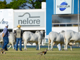 ACNB divulga programação completa da Expoinel 2015