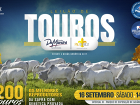 Leilão de Touros DeMarchi e Pau Darco oferta animais avaliados pelo PMGZ