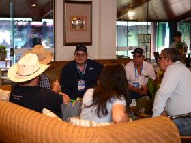 88ª ExpoZebu: Salão Internacional já recebeu mais de 500 visitantes