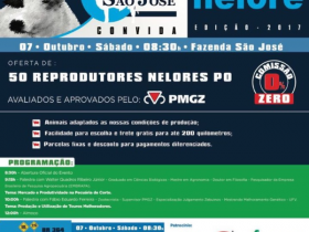 ?Shopping Nelore? vai oferecer 50 reprodutores amanhã (07)