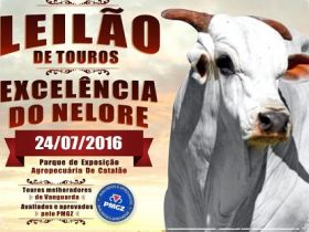Leilão de Touros Excelência do Nelore oferta genética avaliada pelo PMGZ