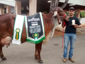 Megaleite 2016 já tem grande campeã Gir Leiteiro do torneio