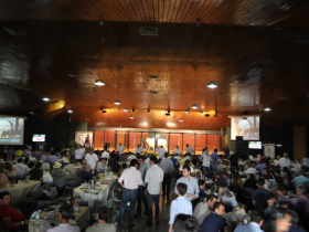 Faturamento dos leilões da ExpoZebu já é 20% maior do que em 2018