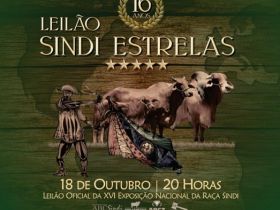 Leilão Sindi chancelado pelo Pró-Genética é destaque na Festa do Boi 
