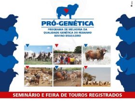 Alta Floresta D`oeste registra boa média de preço em feira do Pró-Genética