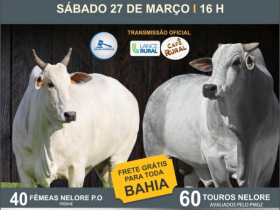 'Leilão Virtual Fazenda Gramado' será realizado neste sábado (27)