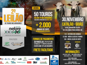 ?2º Leilão de Touros Melhoradores Nelore 4x4? vai ofertar mais de 50 animais PO
