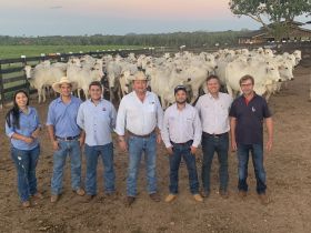 Equipe de Fomento da ABCZ realiza visitas no sul do Pará