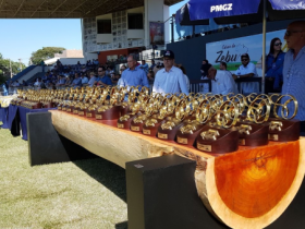 ExpoZebu 2018: Grandes Campeões serão definidos neste sábado (05)