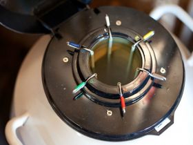 Brasil vai exportar material genético para Ruanda e Argentina