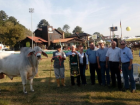 ABCZ marca presença na Expointer 2017 e participação de zebuínos cresce 44%