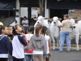 Museu dá início ao projeto Zebu na Escola e lança 2ª Revista Turma do Zebuzinho