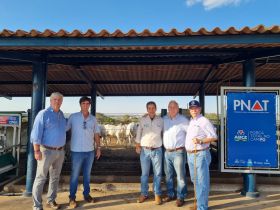 Criadores visitam touros participantes do PNAT 2022