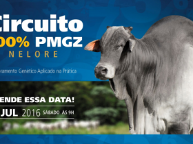 Naviraí sedia Circuito 100% PMGZ em Uberaba, MG