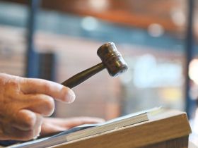 Mais de R$ 190 milhões já foram movimentados nos leilões da 90ª ExpoZebu