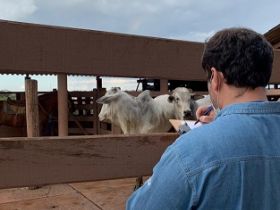 TDEA PNAT 2020: Uberaba começou a receber animais inscritos