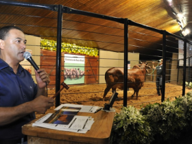 Leilões da ExpoZebu 2015 ultrapassam R$35 milhões