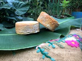 ABCZ participa de 3º Mundial do Queijo do Brasil