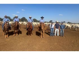 PMGZ Carne tem segunda participação da Mafra Agropecuária com lote ampliado