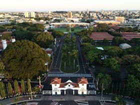 Rota das Árvores: ABCZ apresenta projeto inédito para o Natal no Parque