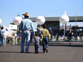 89ª ExpoZebu: Confira a programação desta quarta-feira (1)