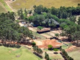 Fazenda Santanna comemora Bodas de Prata e promove leilão