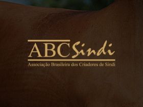 Nova diretoria da ABCSindi em ação