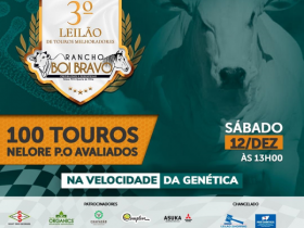 ?3º Leilão Virtual de Touros Melhoradores Rancho Boi Bravo? acontece no próximo sábado (12) 
