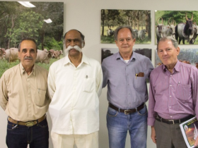 Criador indiano visita ABCZ e busca linhagens leiteiras no Brasil  
