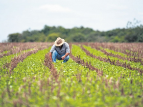 Produtor rural não é vilão?