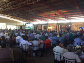 Primeiros leilões da ExpoGenética movimentam quase R$ 6 milhões