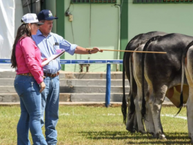 ABCZ participa da 13ª Expo-Nacional da Raça Guzerá