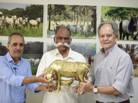 Presidente da Associação Indiana dos Criadores da Raça Ongole recebe homenagem na ABCZ