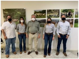 Equipe da Genex visita touros participantes do PNAT 2021