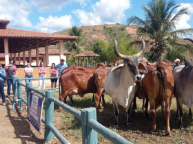 PMGZ Leite é apresentado em Dia de Campo no ES